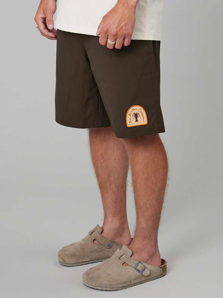 Cray Shorts Brown